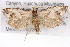  ( - BIOUG02044-B05)  @14 [ ] CreativeCommons - Attribution (2012) CBG Photography Group Centre for Biodiversity Genomics
