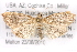  ( - BIOUG02044-B09)  @14 [ ] CreativeCommons - Attribution (2012) CBG Photography Group Centre for Biodiversity Genomics
