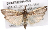  ( - BIOUG02044-C01)  @13 [ ] CreativeCommons - Attribution (2012) CBG Photography Group Centre for Biodiversity Genomics