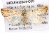  ( - BIOUG02044-C09)  @14 [ ] CreativeCommons - Attribution (2012) CBG Photography Group Centre for Biodiversity Genomics