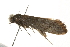 ( - CMAZ-0067)  @13 [ ] CreativeCommons - Attribution (2010) Unspecified Centre for Biodiversity Genomics