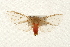  ( - CMAZ-0094)  @11 [ ] CreativeCommons - Attribution (2010) Unspecified Centre for Biodiversity Genomics