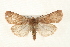  ( - CMAZ-0118)  @14 [ ] CreativeCommons - Attribution (2010) Unspecified Centre for Biodiversity Genomics