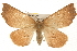  ( - CMAZ-0157)  @14 [ ] CreativeCommons - Attribution (2010) Unspecified Centre for Biodiversity Genomics