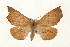  ( - CMAZ-0159)  @13 [ ] CreativeCommons - Attribution (2010) Unspecified Centre for Biodiversity Genomics