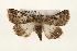  ( - CMAZ-0171)  @14 [ ] CreativeCommons - Attribution (2010) Unspecified Centre for Biodiversity Genomics