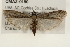  ( - CMAZ-0180)  @14 [ ] CreativeCommons - Attribution (2010) Unspecified Centre for Biodiversity Genomics