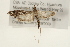  ( - CMAZ-0181)  @13 [ ] CreativeCommons - Attribution (2010) Unspecified Centre for Biodiversity Genomics