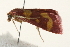  ( - CMAZ-0202)  @12 [ ] CreativeCommons - Attribution (2010) Unspecified Centre for Biodiversity Genomics