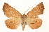  ( - CMAZ-0221)  @14 [ ] CreativeCommons - Attribution (2010) Unspecified Centre for Biodiversity Genomics