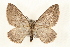  ( - CMAZ-0224)  @14 [ ] CreativeCommons - Attribution (2010) Unspecified Centre for Biodiversity Genomics