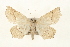  ( - CMAZ-0225)  @14 [ ] CreativeCommons - Attribution (2010) Unspecified Centre for Biodiversity Genomics