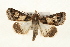  ( - CMAZ-0228)  @14 [ ] CreativeCommons - Attribution (2010) Unspecified Centre for Biodiversity Genomics