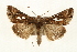  ( - CMAZ-0229)  @14 [ ] CreativeCommons - Attribution (2010) Unspecified Centre for Biodiversity Genomics