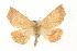  ( - CMAZ-0230)  @14 [ ] CreativeCommons - Attribution (2010) Unspecified Centre for Biodiversity Genomics