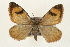  ( - CMAZ-0240)  @14 [ ] CreativeCommons - Attribution (2010) Unspecified Centre for Biodiversity Genomics