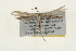  ( - CMAZ-0241)  @13 [ ] CreativeCommons - Attribution (2010) Unspecified Centre for Biodiversity Genomics
