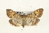  ( - CMAZ-0244)  @14 [ ] CreativeCommons - Attribution (2010) Unspecified Centre for Biodiversity Genomics