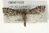 ( - CMAZ-0253)  @13 [ ] CreativeCommons - Attribution (2010) Unspecified Centre for Biodiversity Genomics