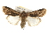  ( - CMAZ-0271)  @14 [ ] CreativeCommons - Attribution (2010) Unspecified Centre for Biodiversity Genomics