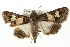  ( - CMAZ-0034)  @13 [ ] CreativeCommons - Attribution (2009) Unspecified Centre for Biodiversity Genomics