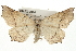  ( - CMAZ-0044)  @14 [ ] CreativeCommons - Attribution (2009) Unspecified Centre for Biodiversity Genomics