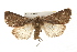  ( - CMAZ-0056)  @14 [ ] CreativeCommons - Attribution (2009) Unspecified Centre for Biodiversity Genomics