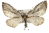  ( - CMAZ-0058)  @14 [ ] CreativeCommons - Attribution (2009) Unspecified Centre for Biodiversity Genomics