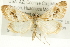  ( - CMAZ-0415)  @14 [ ] CreativeCommons - Attribution (2010) CBG Photography Group Centre for Biodiversity Genomics