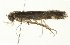  ( - CMAZ-0651)  @12 [ ] CreativeCommons - Attribution (2010) CBG Photography Group Centre for Biodiversity Genomics