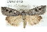  ( - CMAZ-0743)  @14 [ ] CreativeCommons - Attribution (2010) CBG Photography Group Centre for Biodiversity Genomics