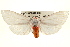  ( - BIOUG02041-C08)  @14 [ ] CreativeCommons - Attribution (2012) CBG Photography Group Centre for Biodiversity Genomics