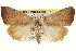  ( - BIOUG02041-E03)  @15 [ ] CreativeCommons - Attribution (2012) CBG Photography Group Centre for Biodiversity Genomics