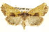 (Stiria - BIOUG02041-E11)  @15 [ ] CreativeCommons - Attribution (2012) CBG Photography Group Centre for Biodiversity Genomics