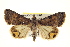  ( - BIOUG02041-H03)  @14 [ ] CreativeCommons - Attribution (2012) CBG Photography Group Centre for Biodiversity Genomics