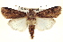  ( - BIOUG02041-H04)  @14 [ ] CreativeCommons - Attribution (2012) CBG Photography Group Centre for Biodiversity Genomics