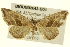  ( - BIOUG02043-B04)  @14 [ ] CreativeCommons - Attribution (2012) CBG Photography Group Centre for Biodiversity Genomics