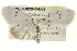  ( - BIOUG02043-D02)  @15 [ ] CreativeCommons - Attribution (2012) CBG Photography Group Centre for Biodiversity Genomics