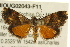  ( - BIOUG02043-F11)  @14 [ ] CreativeCommons - Attribution (2012) CBG Photography Group Centre for Biodiversity Genomics