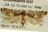  ( - BIOUG02043-G02)  @14 [ ] CreativeCommons - Attribution (2012) CBG Photography Group Centre for Biodiversity Genomics