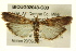  ( - BIOUG02043-G03)  @14 [ ] CreativeCommons - Attribution (2012) CBG Photography Group Centre for Biodiversity Genomics