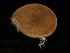  ( - MBI-SCCWRP-00119)  @11 [ ] CreativeCommons - Attribution Non-Commercial (2011) Southern California Coastal Water Research Southern California Coastal Water Research