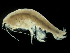  ( - MBI-SCCWRP-00568)  @14 [ ] CreativeCommons - Attribution Non-Commercial (2012) Southern California Coastal Water Research Southern California Coastal Water Research