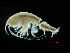  ( - MBI-SCCWRP-00569)  @13 [ ] CreativeCommons - Attribution Non-Commercial (2012) Southern California Coastal Water Research Southern California Coastal Water Research