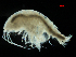  ( - MBI-SCCWRP-00572)  @11 [ ] CreativeCommons - Attribution Non-Commercial (2012) Southern California Coastal Water Research Southern California Coastal Water Research