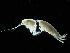  ( - MBI-SCCWRP-00576)  @12 [ ] CreativeCommons - Attribution Non-Commercial (2012) Southern California Coastal Water Research Southern California Coastal Water Research