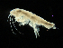  ( - MBI-SCCWRP-00578)  @14 [ ] CreativeCommons - Attribution Non-Commercial (2012) Southern California Coastal Water Research Southern California Coastal Water Research