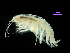  ( - MBI-SCCWRP-00582)  @11 [ ] CreativeCommons - Attribution Non-Commercial (2012) Southern California Coastal Water Research Southern California Coastal Water Research
