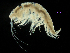 ( - MBI-SCCWRP-00583)  @14 [ ] CreativeCommons - Attribution Non-Commercial (2012) Southern California Coastal Water Research Southern California Coastal Water Research