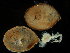  ( - MBI-SCCWRP-00587)  @11 [ ] CreativeCommons - Attribution Non-Commercial (2012) Southern California Coastal Water Research Southern California Coastal Water Research